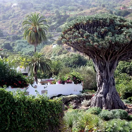 Atlantic View شقة *